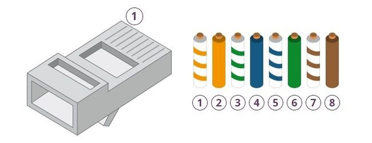 Grijze RJ45 connector met genummerd schema voor de acht gekleurde draden van een UTP netwerkkabel.