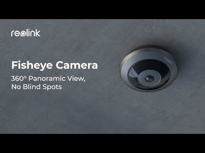 Reolink P520 6MP PoE Fischaugen-Dome-Kamera